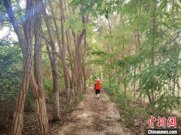 戈壁灘上的護林員:以前風吹睜不開眼,現(xiàn)在滿眼皆綠色