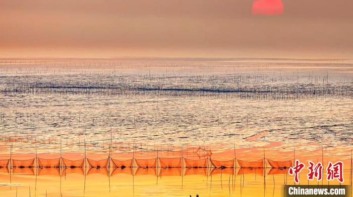 江蘇鹽城被譽(yù)為金灘銀蕩、魚米之鄉(xiāng)。　鹽城市委宣傳部供圖