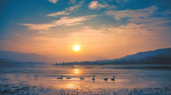 黃河冬之晨。