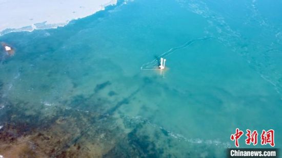 圖為冬日青海湖?！±罱瓕帯z