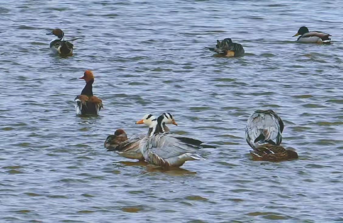 微信圖片_20220309104238.jpg 微信圖片_20220309104238.jpg