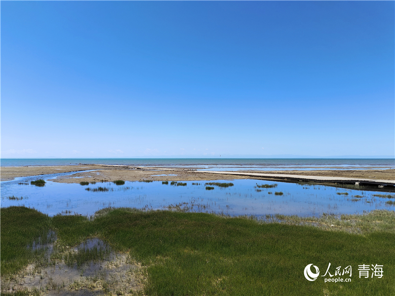 青海湖仙女灣。人民網(wǎng) 張莉萍攝
