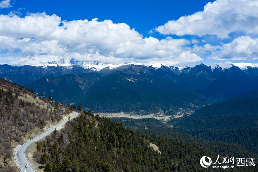 圖為在海拔4700多米的色季拉山，觀測(cè)從森林到草甸的多種植被類型。