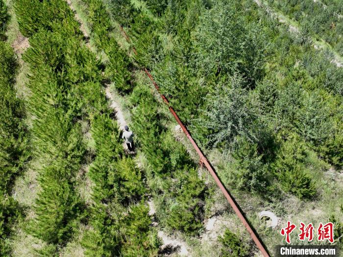 航拍建行青海省分行綠化區(qū)施工隊(duì)隊(duì)長盧占祥正在巡護(hù)綠化區(qū)?！∑钤鲚?攝