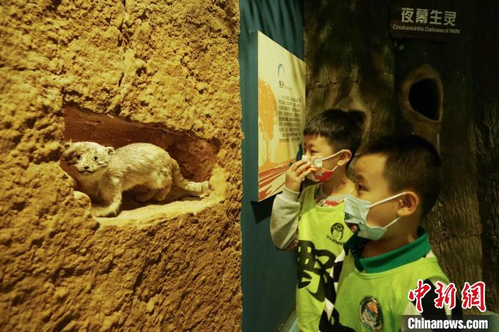 圖為小朋友在青海西寧湟水國家濕地公園科普館內(nèi)參觀學習?！●R銘言 攝