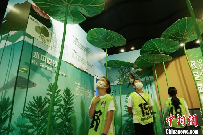 圖為小朋友在青海西寧湟水國家濕地公園科普館內(nèi)參觀學習。　馬銘言 攝