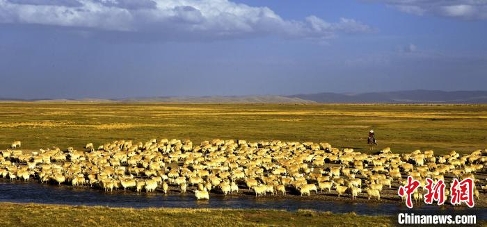 青?，敹唷鞍渍渲椤弊尠傩斟X袋鼓起來