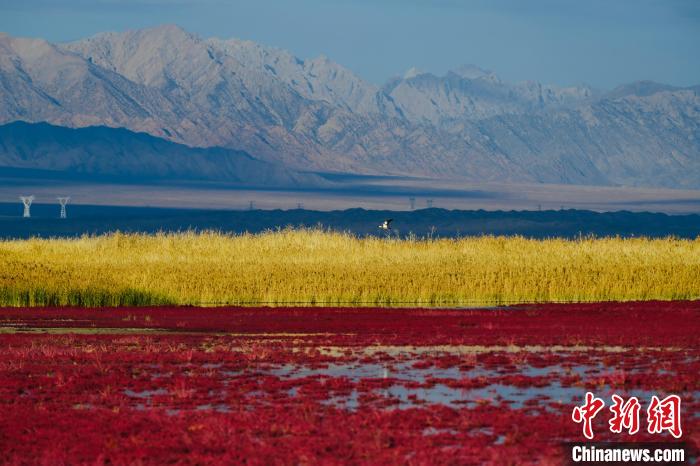 圖為柴達(dá)木盆地可魯克湖?！」?攝