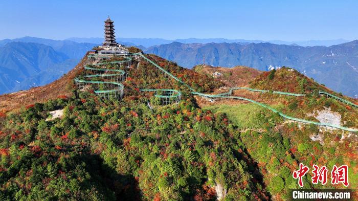 巴山大峽谷彩林迎來最佳觀賞期?！∫κ?攝