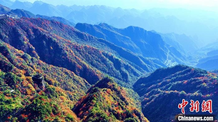 巴山大峽谷彩林迎來最佳觀賞期?！埰?攝