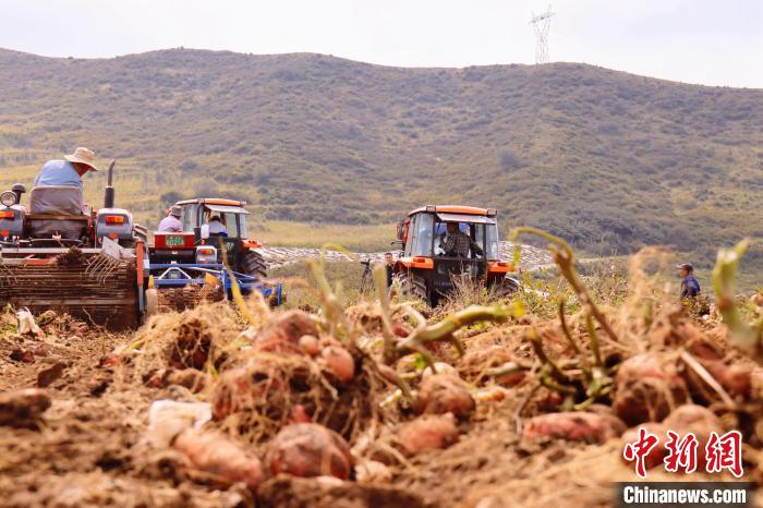 青海東部農(nóng)業(yè)區(qū)：“一分川、一分水、八分山”里“刨金記”