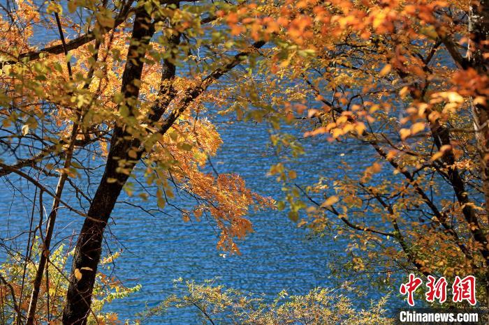 松坪溝風(fēng)光?！⑼?攝