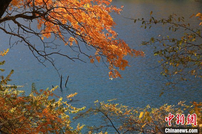 松坪溝風(fēng)光?！⑼?攝