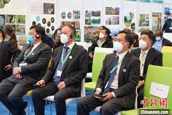 圖為極小種群物種和生物多樣性保護(hù)邊會(huì)現(xiàn)場(chǎng)?！≡颇鲜×謽I(yè)和草原局供圖