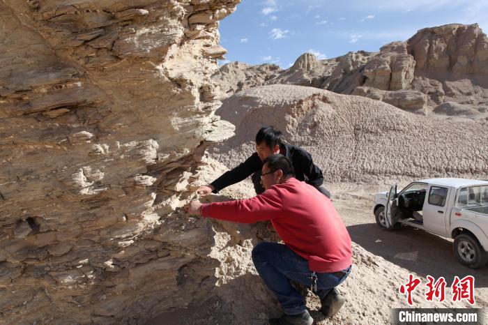 圖為地質(zhì)專家觀察鹽類沉積地層。(資料圖) 柴綜院 供圖