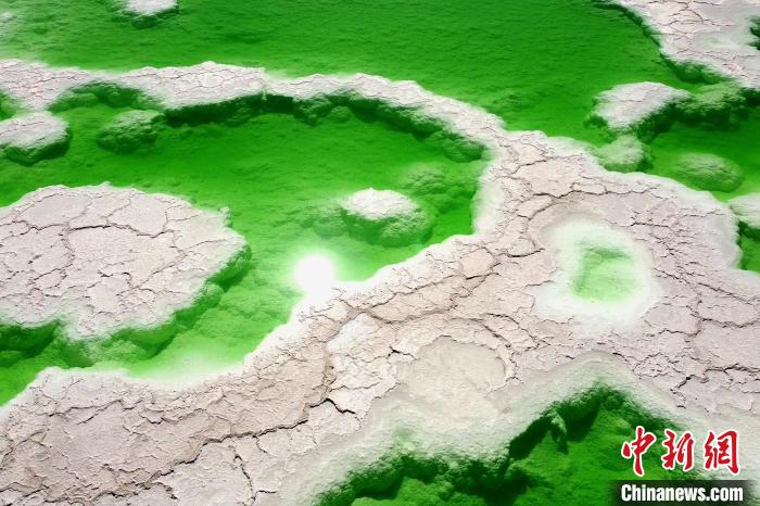 青?！拔鞔箝T”茫崖多舉措蓄能鹽湖產(chǎn)業(yè)發(fā)展