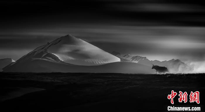 青海攝影師斬獲第二屆錦繡中華(金鼎獎(jiǎng))全國風(fēng)光攝影大賽金獎(jiǎng)