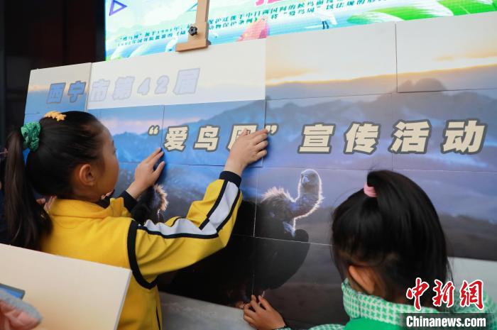 圖為學(xué)生通過(guò)拼圖游戲了解鳥類知識(shí)。　馬銘言 攝