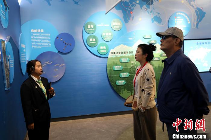 圖為臺商在祁連山國家公園生態(tài)科普館內(nèi)聆聽講解?！⊙Φ?攝