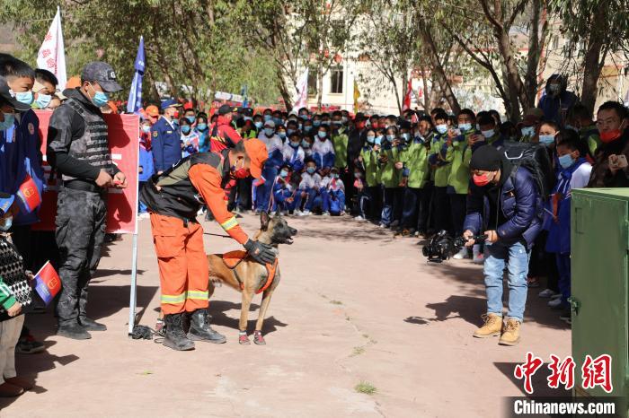 圖為搜救犬服從和箱體搜救演練?！≮w琳 攝