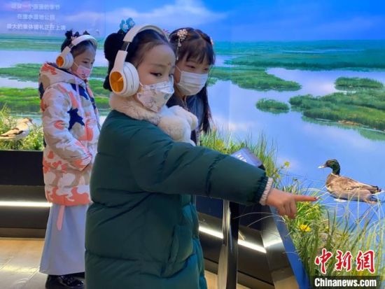 圖為學(xué)生在西寧市第一中學(xué)濕地科普宣教館內(nèi)參觀?！±罱瓕?攝