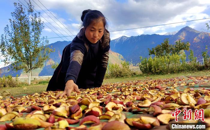 圖為通麥村村民巴桑拉姆晾曬切片蘋果?！∝暽＠?攝