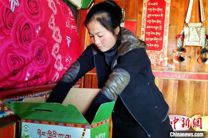 圖為通麥村村民巴桑拉姆把精心挑選的蘋果裝箱?！∝暽＠?攝