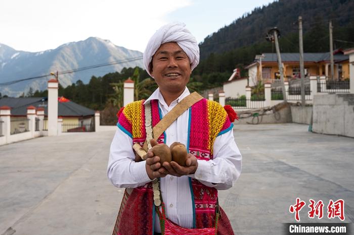 1月29日，京都村委會(huì)主任阿胖正在展示該村種植的獼猴桃。<a target='_blank' ><p  align=