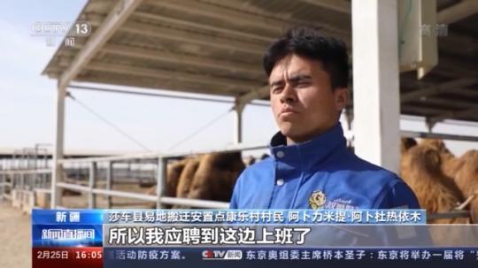 種蘑菇、養(yǎng)駱駝...。。特色產(chǎn)業(yè)助力鄉(xiāng)村振興走新路