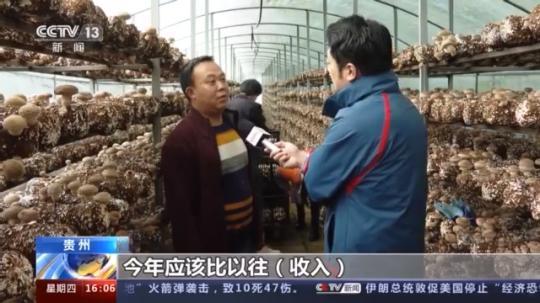 種蘑菇、養(yǎng)駱駝...。。特色產(chǎn)業(yè)助力鄉(xiāng)村振興走新路