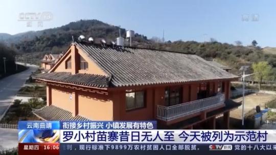 種蘑菇、養(yǎng)駱駝...。。特色產(chǎn)業(yè)助力鄉(xiāng)村振興走新路