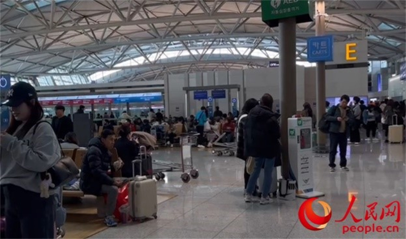 11月29日，繁忙的仁川機(jī)場。人民網(wǎng) 李帆攝