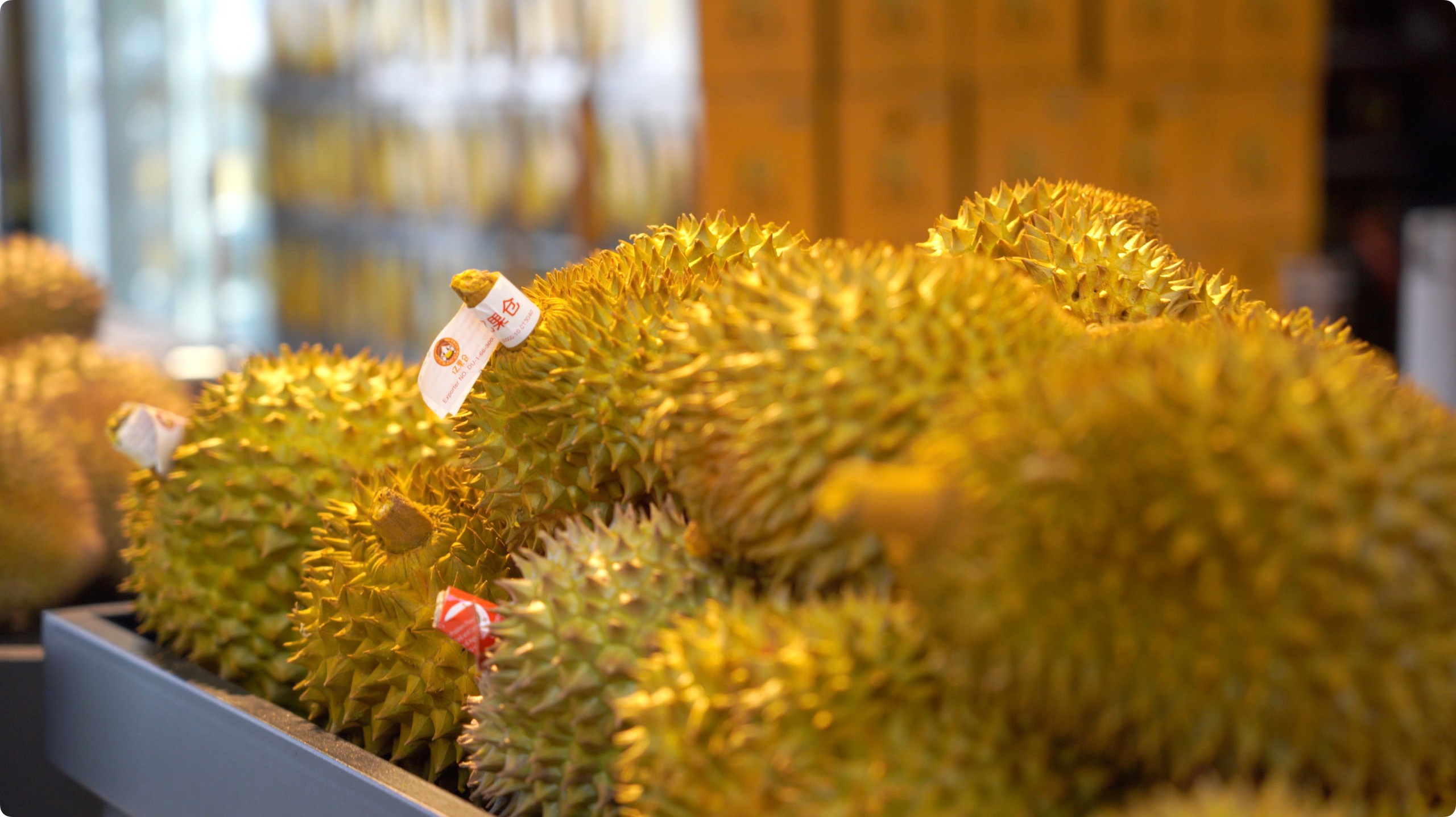 5月初，人民網(wǎng)記者申佳平攝