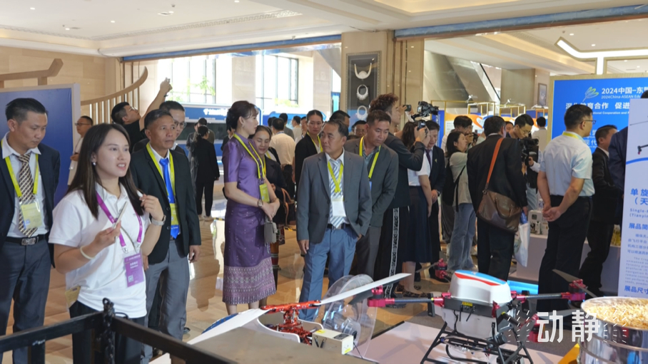 展示成果分享經(jīng)驗(yàn)，中國—東盟教育交流周深化合作共創(chuàng)未來！