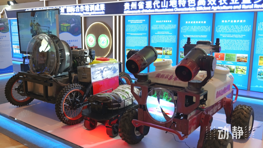 展示成果分享經(jīng)驗(yàn)，中國—東盟教育交流周深化合作共創(chuàng)未來！