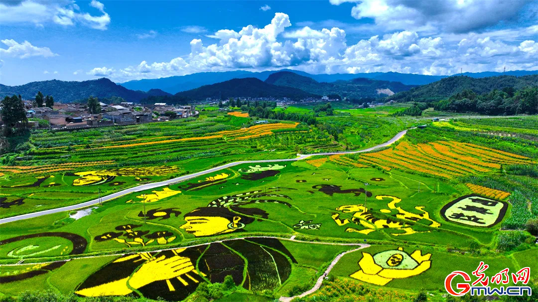 云南清水：延伸公共法律服務(wù)觸角，讓普法與民族團(tuán)結(jié)進(jìn)步互促共融