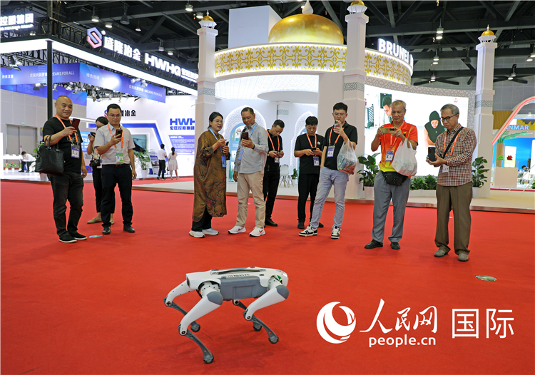 東博會上，觀眾正在參觀一只機器狗。綠色能源、新能源汽車、綠色農(nóng)產(chǎn)品等成為本屆東博會觀眾關注的焦點。人民網(wǎng)記者 趙益普攝