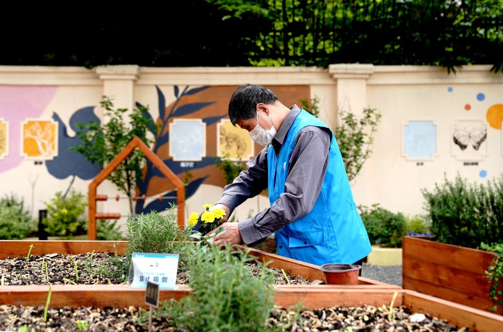 上海市長(zhǎng)寧區(qū)虹旭小區(qū)居民在整理改造社區(qū)花園。居民們把堆肥箱里發(fā)酵出來的“綠色材料”和土壤拌在一起鋪在種植箱中（2020年4月22日攝）。新華社記者 張建松 攝