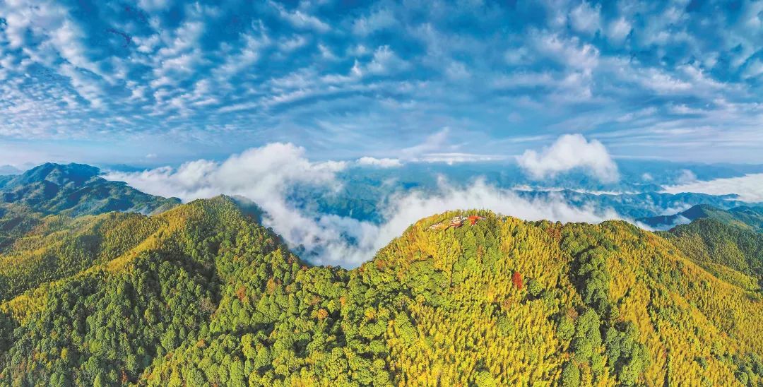 　三明森林生態(tài)環(huán)境優(yōu)美。