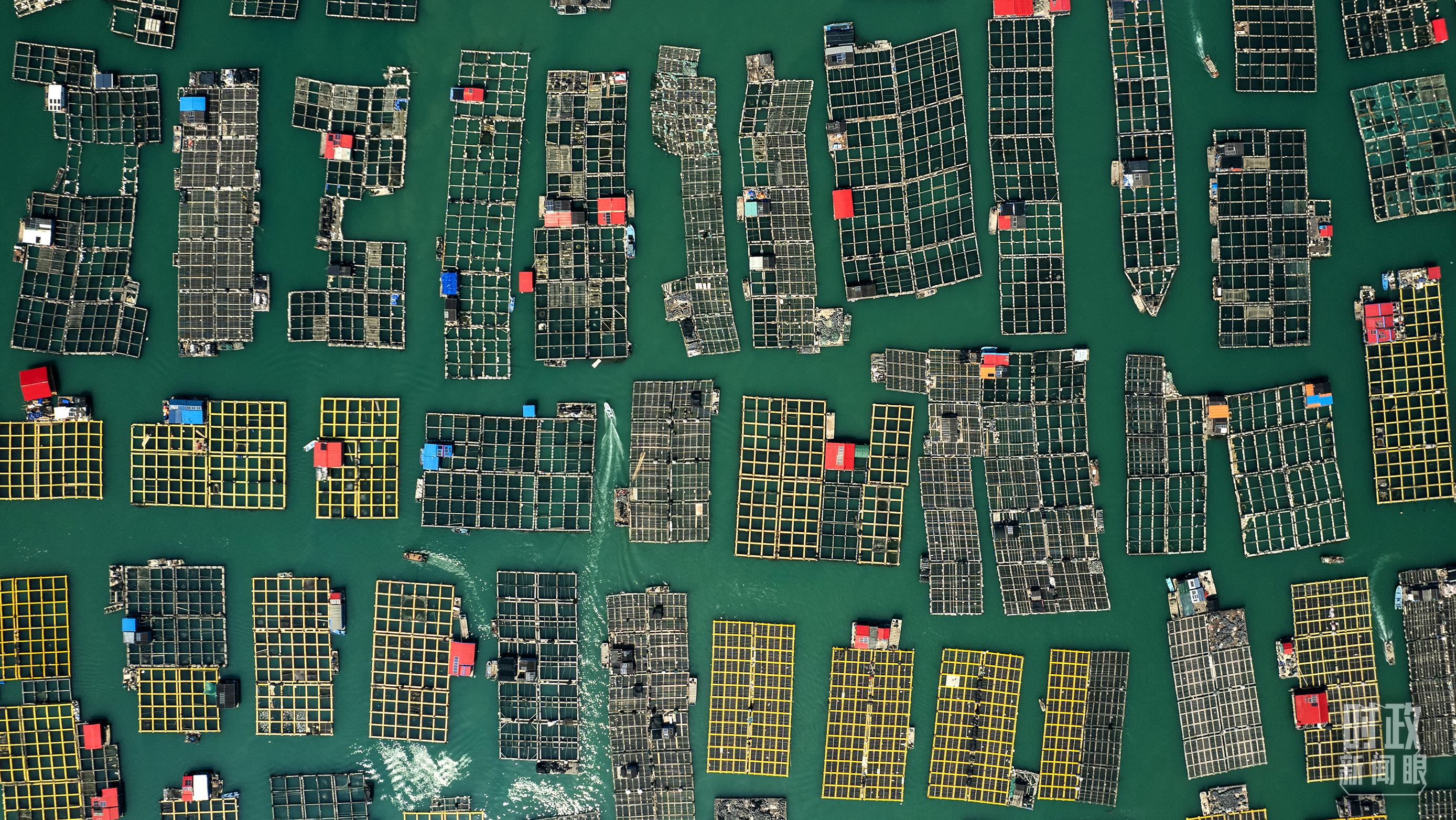 △澳角村。（總臺(tái)記者李晉拍攝）