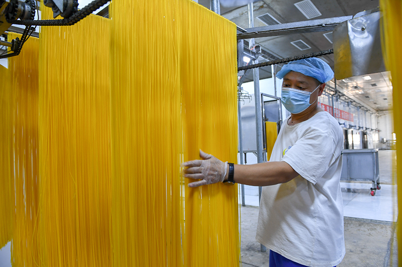 2024年1月25日，在吉林省公主嶺市的一家公司車間，工人查看玉米面條生產(chǎn)情況。