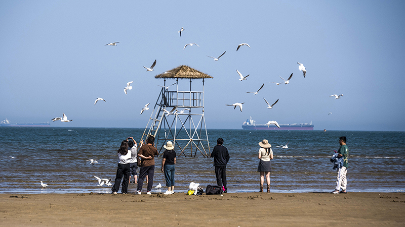 2024年5月12日，河北秦皇島，北戴河鴿子窩公園成群海鷗在天空中自由翱翔，與大海、藍(lán)天構(gòu)成了一幅美麗的畫(huà)卷。
