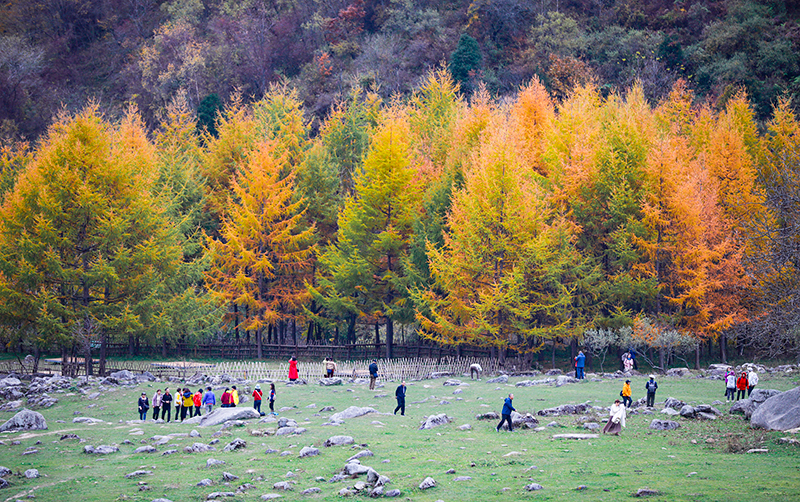 2023年10月27日，深秋時(shí)節(jié)的陜西秦嶺太子嶺漫山紅黃、色彩交織，進(jìn)入最佳觀賞期。