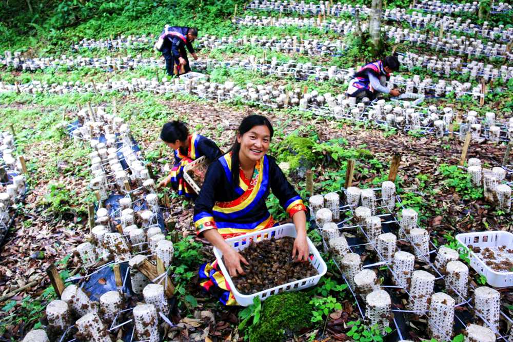 喜獲豐收展笑顏。次仁央宗攝