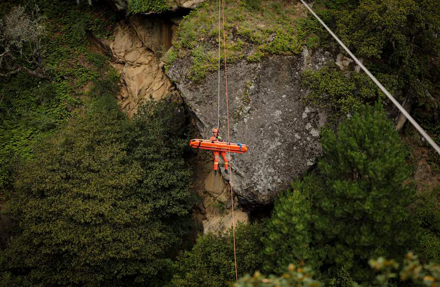 叢林中的橙色身影。西繞拉翁攝