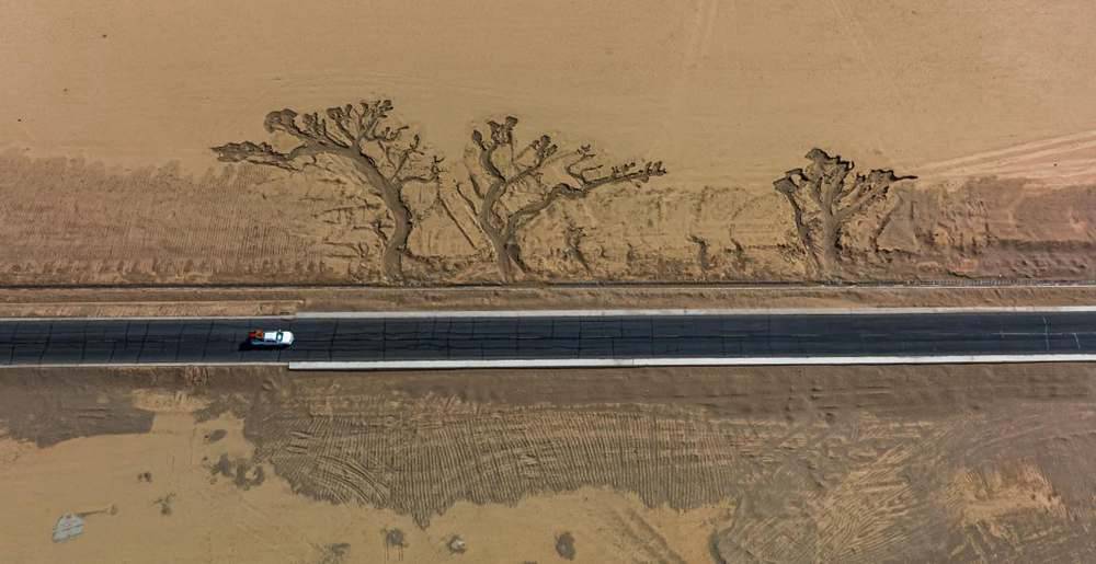 位于國道216沿線的“大地之樹”。邊巴多吉攝