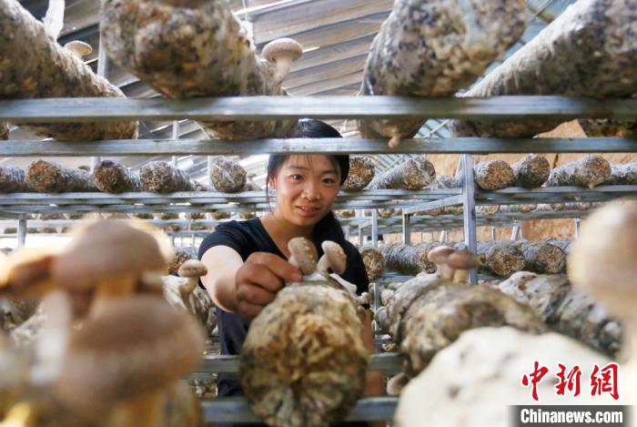 甘肅天?！跋愎椒蚱蕖毕律饺氪ǎ捍笈锢镉板X(qián)景”