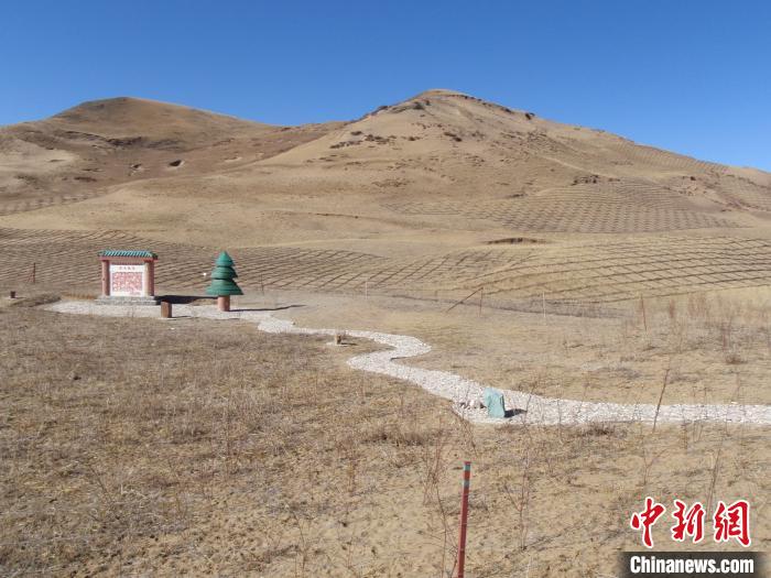 四川省阿壩州若爾蓋縣草原沙化治理前。若爾蓋縣林業(yè)和草原局供圖