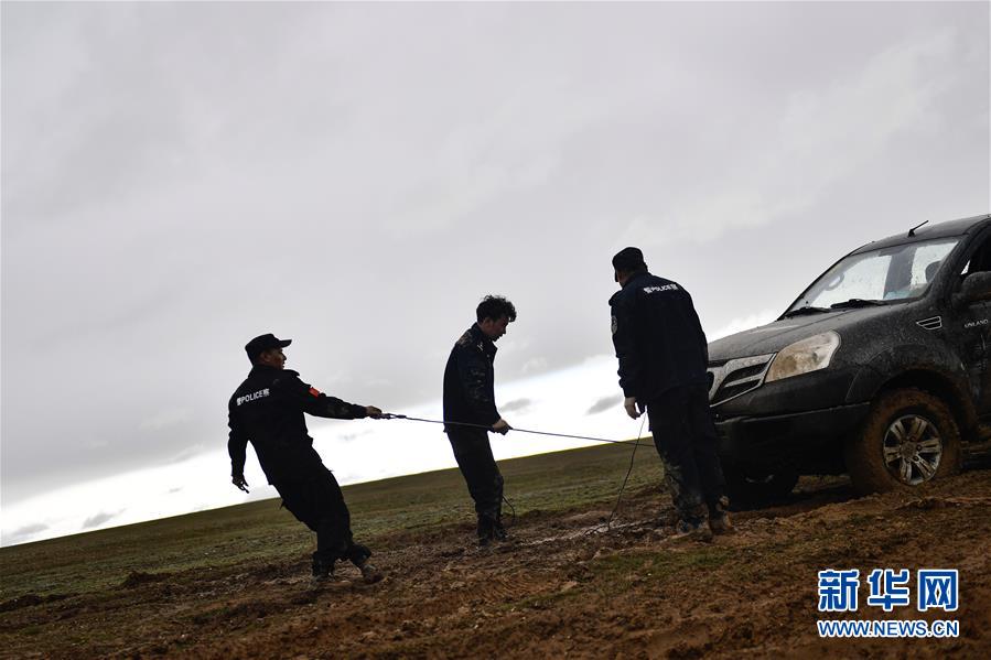 （圖文互動(dòng)）（10）記者手記：可可西里，“挪”向“藏羚羊大產(chǎn)房”的14個(gè)半小時(shí)