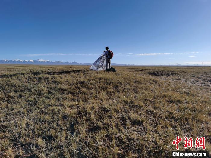 圖為索南達(dá)杰保護(hù)站保護(hù)隊員在可可西里找到露營的葉某。　鄧海平 攝